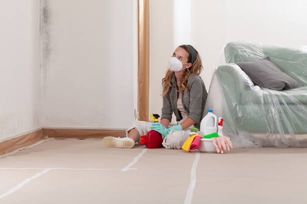 Reliable Mold Removal contractor in Morrisdale, PA by WQB Mold Removal